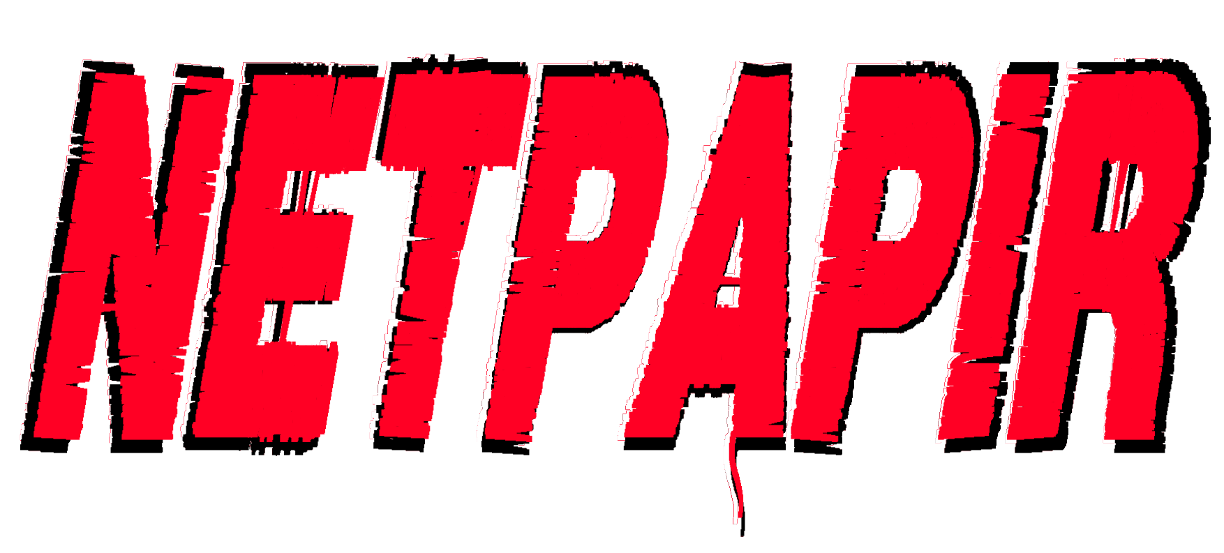 Logo NetPAPIR